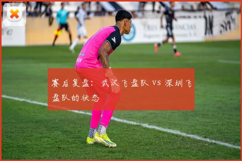 赛后复盘：武汉飞盘队 vs 深圳飞盘队的状态