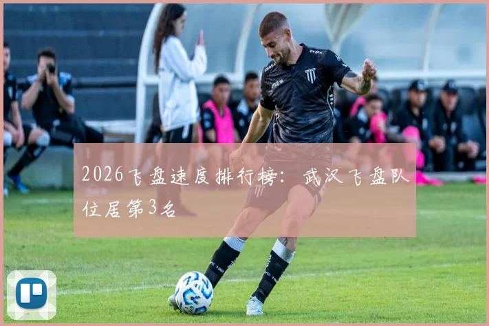 2026飞盘速度排行榜：武汉飞盘队位居第3名