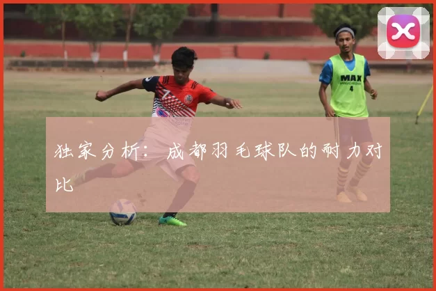 独家分析：成都羽毛球队的耐力对比