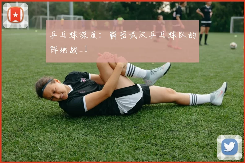 乒乓球深度：解密武汉乒乓球队的阵地战_1