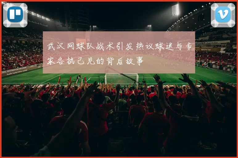 武汉网球队战术引发热议球迷与专家各执己见的背后故事