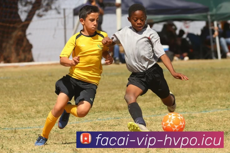 爱游戏体育APP 高清赛事图